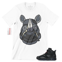 R310 Air Jordan 3 Women's Singles Day T Shirt