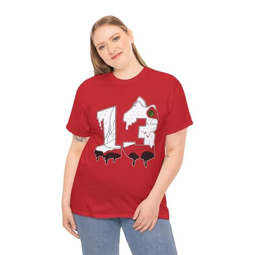 13 Shirt to Match Jordan 13 Chicago/Jordan 13 Cherry Shirt