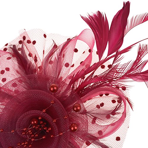 DRESHOW Fascinators Hat Flower Mesh Ribbons Feathers on a Headband and a Clip Tea Party Headwear for Girls and Women
