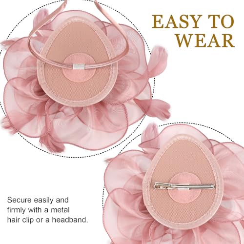 DRESHOW Fascinators Hat Tea Party Headwear Ribbons Feathers on a Headband and a Clip for Women