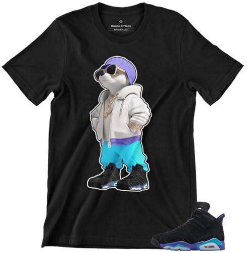 Shirt to Match Jordan 6 Aqua Retro Men's Graphic Tee