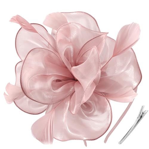 DRESHOW Fascinators Hat Tea Party Headwear Ribbons Feathers on a Headband and a Clip for Women
