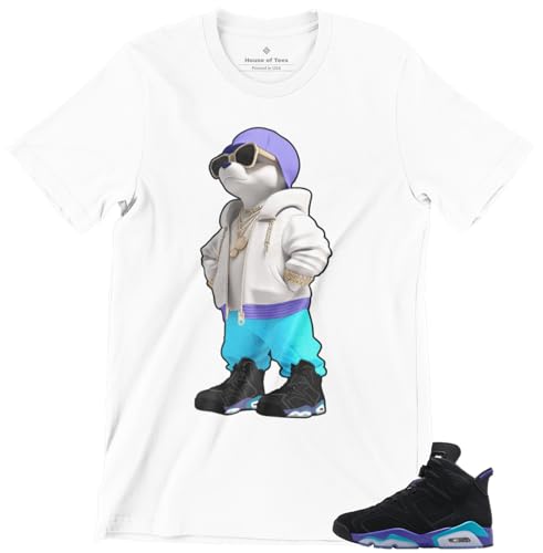 Shirt to Match Jordan 6 Aqua Retro Men's Graphic Tee