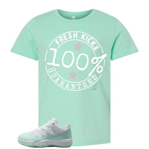 Shirt To Match 11 IGLOO/Mint Green, Fresh Sneaker Graphic Tee, Best Gift, Birthday, Mens Clothing, Unisex (Mint Green, 2XL)