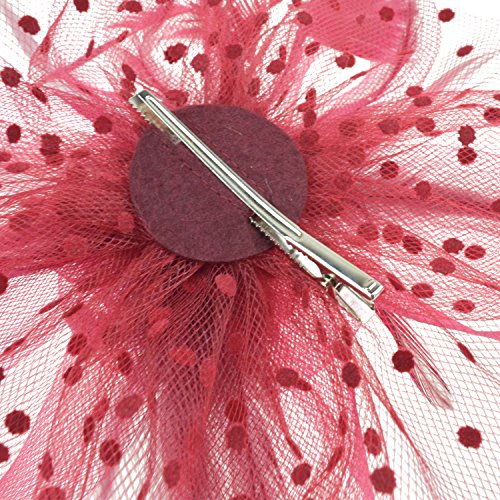 DRESHOW Fascinators Hat Flower Mesh Ribbons Feathers on a Headband and a Clip Tea Party Headwear for Girls and Women