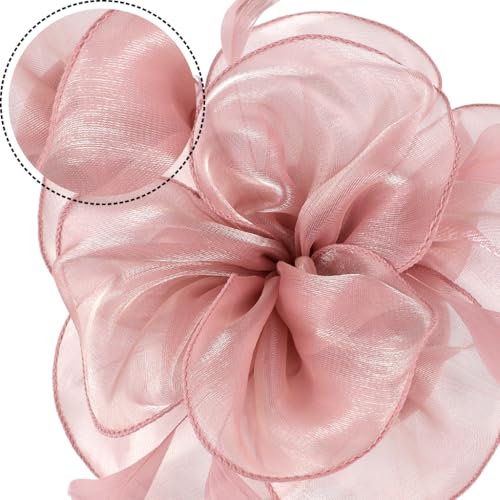 DRESHOW Fascinators Hat Tea Party Headwear Ribbons Feathers on a Headband and a Clip for Women