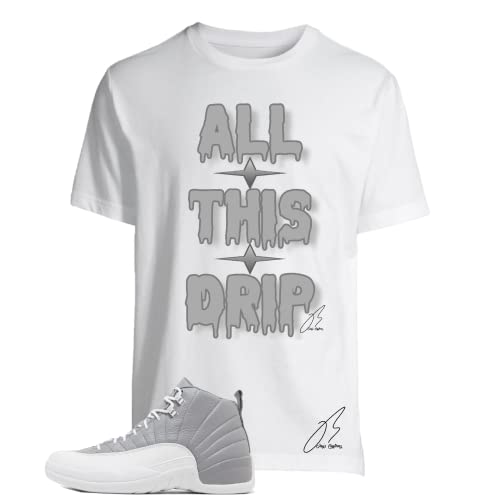 Shirt To Match Jordan Retro 12 Stealth Grey,All This Drip Graphic Tee (S, White)