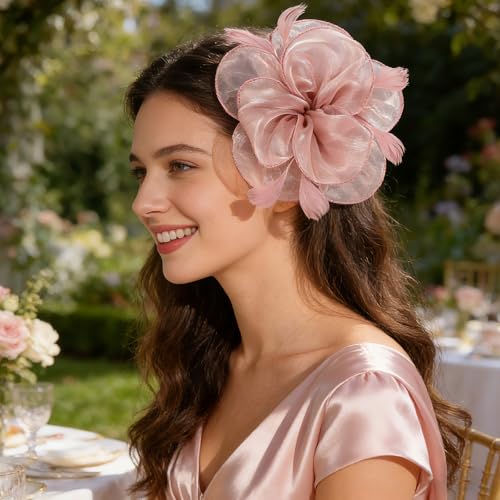 DRESHOW Fascinators Hat Tea Party Headwear Ribbons Feathers on a Headband and a Clip for Women
