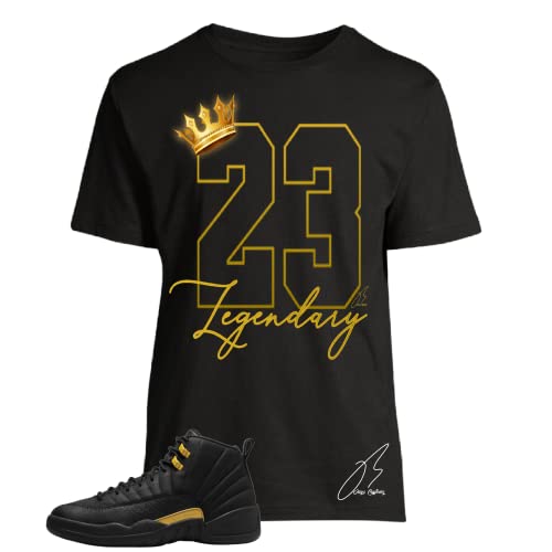 Shirt to Match Retro 12 Black Taxi,23 Legendary Unisex Graphic Tee,Sneaker Match,Best Gift, (M)
