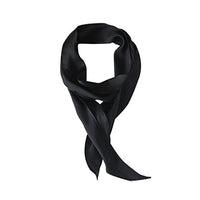 
              GERINLY Black Silk Scarf for Hair Satin Skinny Scarf Belt Ascot Cravat
            