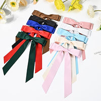 
              10PCS Silky Satin Hair Bows Hair Clip Ribbon Accessories Ponytail Holder Slides Metal Clips French Barrette Hair Bow for Women Girls Toddlers Teens Kids
            