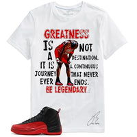 
              Shirt to Match 12 FLU Game, 23 Sneaker Graphic Tee, Best Gift, Birthday, Mens Clothing, MJ Greatness, Red & Black (White, Extra Large)
            