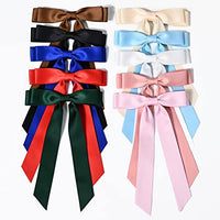 
              10PCS Silky Satin Hair Bows Hair Clip Ribbon Accessories Ponytail Holder Slides Metal Clips French Barrette Hair Bow for Women Girls Toddlers Teens Kids
            
