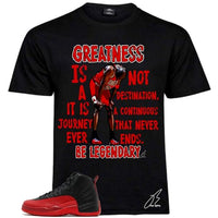 
              Shirt to Match 12 FLU Game, 23 Sneaker Graphic Tee, Best Gift, Birthday, Mens Clothing, MJ Greatness, Red & Black (Black, Large)
            