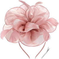 
              DRESHOW Fascinators Hat Tea Party Headwear Ribbons Feathers on a Headband and a Clip for Women
            