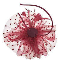 
              DRESHOW Fascinators Hat Flower Mesh Ribbons Feathers on a Headband and a Clip Tea Party Headwear for Girls and Women
            