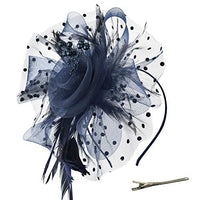 
              DRESHOW Fascinators Hat Flower Mesh Ribbons Feathers on a Headband and a Clip Tea Party Headwear for Girls and Women
            