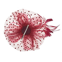 
              DRESHOW Fascinators Hat Flower Mesh Ribbons Feathers on a Headband and a Clip Tea Party Headwear for Girls and Women
            