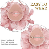 
              DRESHOW Fascinators Hat Tea Party Headwear Ribbons Feathers on a Headband and a Clip for Women
            