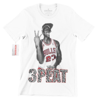 
              R164 Jordan 3 Peat T-Shirt
            
